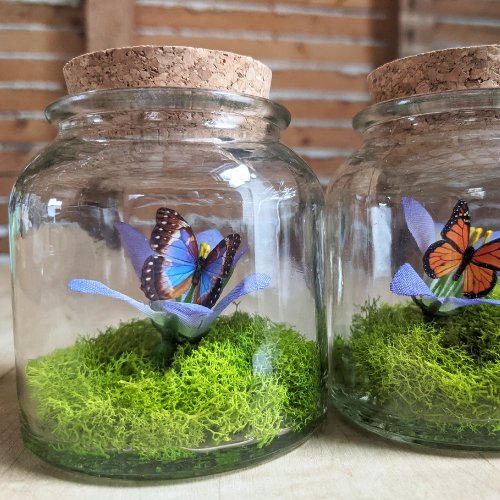 Image for event: Craft Time at Lee Branch: Butterfly Terrarium